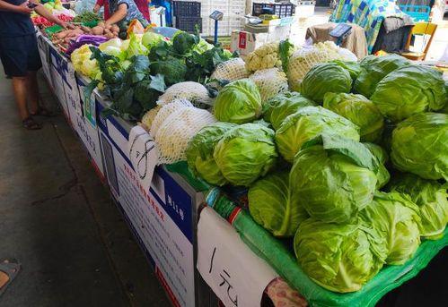 摆摊免费吃瓜,摆摊文化新潮流 第1张 摆摊免费吃瓜,摆摊文化新潮流 第1张